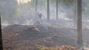 Efter veckans skogsbrand: "Det behövs mer regn"