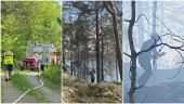 Räddningstjänsten släckte skogsbrand i svår terräng: "Det är bergigt och dant"