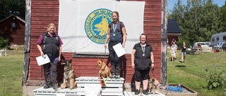 Festlig hundtävling lockade många