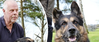 Hundförarna säger upp sig – bara en polishund kvar