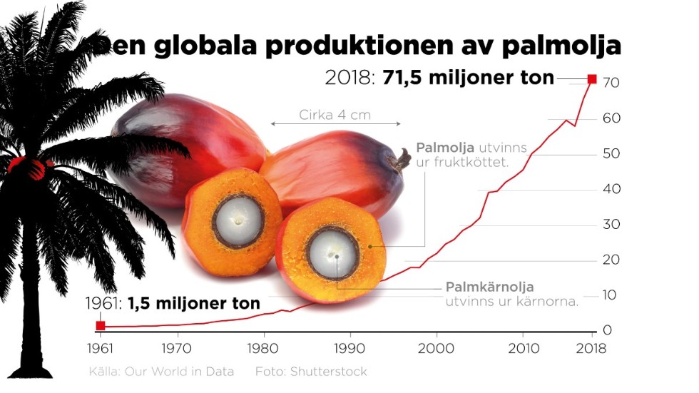 Den globala produktionen av palmolja 1961–2018.