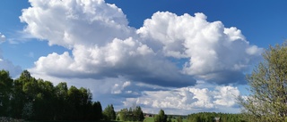 Läsarbilden: Vita moln mot klarblå himmel