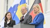 Sverige och Finland kan räkna med tyskt stöd