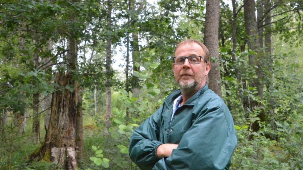 Överraskad och glad. Bertil Andersson har tidigare fått utmärkelser för sitt arbete med skogen, bland annat har han fått Skogsstyrelsens förtjänstmedalj silver. Men att han skulle få Naturskyddsföreningens skogspris hade han inte kunnat föreställa sig.