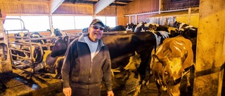 Ljusare tider för mjölkbönderna