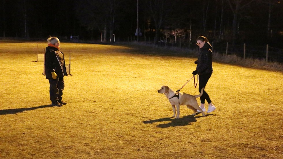 Valpkursen är i full gång. De första stapplande stegen mot en vältränad hund, för Luna och Frida Björk. Instruktör är Emma Kennmark.