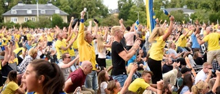 Tusentals gladdes åt Sverige i Vasaparken