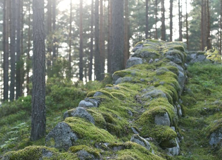 Stenmurarna är runt en meter breda och höga på de flesta ställen. Dessutom är de nedgrävda till frostfritt djup en bit ned i marken.