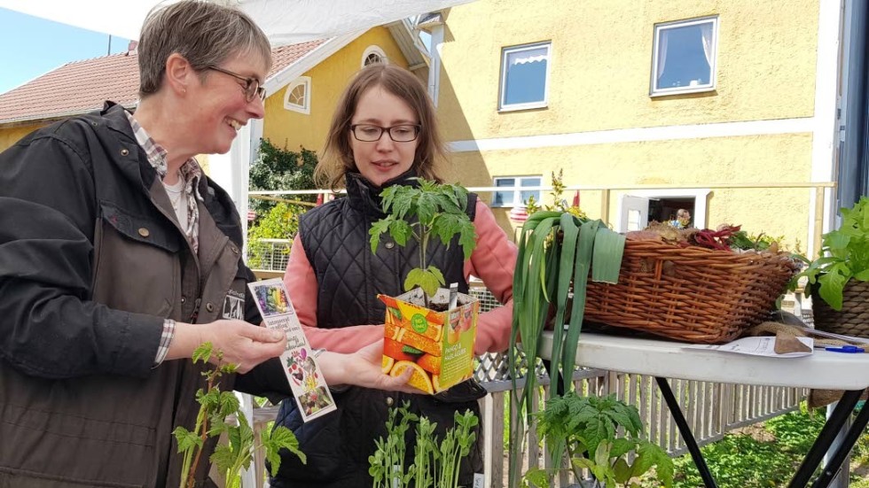 Odlingsaktivisterna Kristina Lindelöf från hållbarhetsprojektet Odlingsakademien och Elin Hjalmarsson, som står i startgroparna med Russnäs andelsjordbruk i livlig diskussion om en planta. Smakar den ananas?