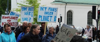 Eleverna strejkar för klimatet