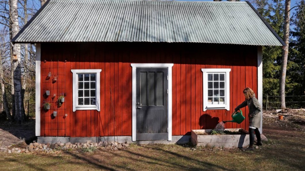Alla hus hemma hos Pernilla Eriksson är röda med vita knutar. Vackert i den spirande våren.