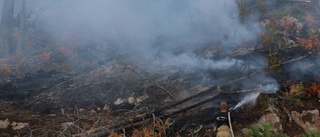 Skogsbränderna kostade miljoner