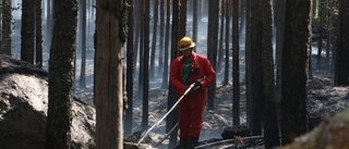 Skogsbranden kommer ta flera dagar att släcka