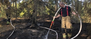 Paret upptäckte ny brand i skogen