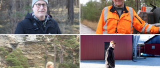 Gotlands största skogsägare • ✓Företagen ✓Organisationerna ✓Privatpersonerna • "Skogen betyder allt, jag älskar den"