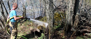 Elkabel blåste ner och skapade gräsbrand