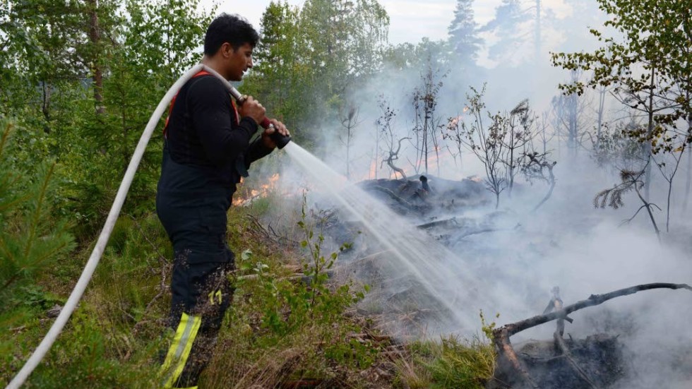 Under förra året larmades räddningstjänsten på 28 bränder i skog och mark