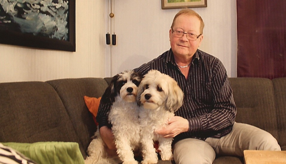 "Vi är väldigt snälla, söta och lovar att inte busa till det när vi ska gå över gatan med dig". Hundbröderna är tillgivna sin husse Jörgen Jeppsson, som nu söker hjälp.