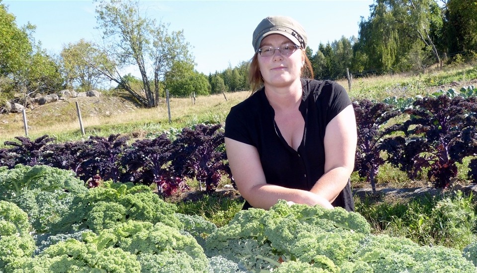 Kristina Carlsson mitt i sina digra odlingar av grönsaker på gården Seltorp. I två år har hon haft företaget Bondbönans Odlingar som finns en dryg mil söder om Linköping. Foto: Leif Larsson