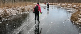 Exotisk skridskoåkning på myrmark