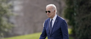 Biden förd till säker plats efter flygincident