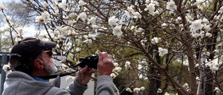 Med blommor i siktet