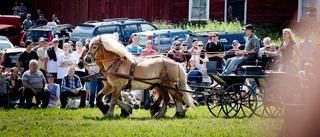 Traktorrace lockade till folkfest