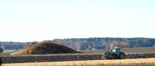 Ung och gammal i kläm