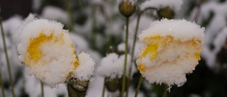 Vinter igen i Kiruna: "Lite snö är bara vackert"