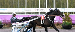 Stjärnhästen bjuds in till miljonloppet