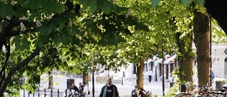 Uppsala blev inte årets stadskärna