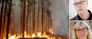 Räddningschefen får inte längre besluta om eldningsförbud på Gotland – nu ska politikerna bestämma