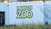 Svar på fråga om familjedagen på Parken zoo 