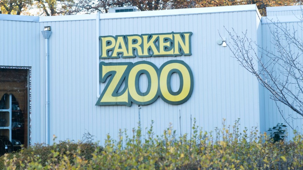 Parken Zoo redovisar nu vinst, vilket den aldrig gjorde i kommunal regi.