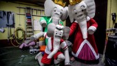 Så var knutmassofirandet
