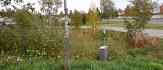 Trafiksäkerhetsfrågan på politikernas bord