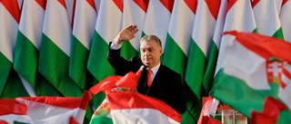 "Orbán stärker greppet"