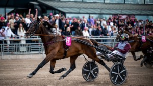 Tarzans tips slog in – Redéns chanser försvann på några steg