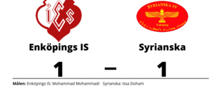 Enköpings IS och Syrianska delade på poängen