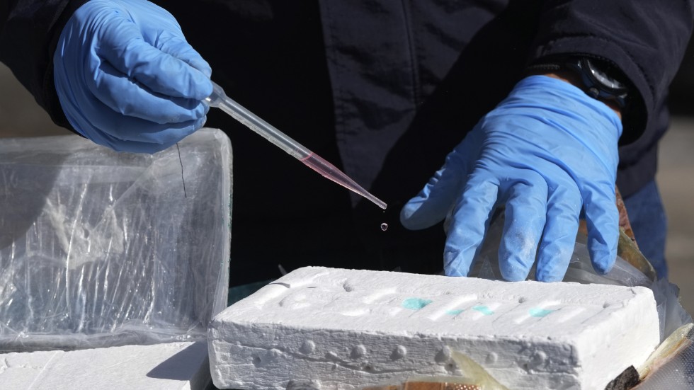 Sydamerikanskt kokain flödar in i Europa som aldrig förr. Samtidigt upptäcker EU:s drogbyrå nya syntetiska droger i rask takt. Arkivbild.