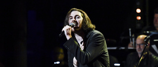 Hozier till Avicii arena i november