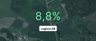 Logicut AB: Nu är redovisningen klar - så ser siffrorna ut