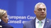 Ungern rasar mot migrationsavtal