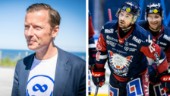 Stålhammar lämnar vd-tjänst – blir klubbdirektör för Linköping HC