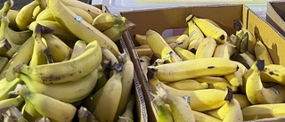 Kokain värt miljarder i bananlast