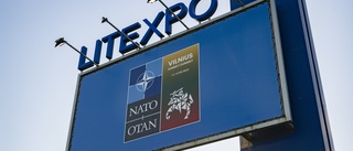 Ingen säkerhetsgaranti utan Natomedlemskap