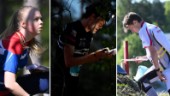 Från strålande sol till mörk natt – följ med i skogen på Tiomila