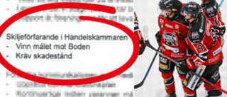 Dokumentet visar Hockeyettans tydliga mål: "Vinn mot Boden"
