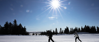 Ännu inga skidspår i Hammarskog: ”För lite snö”