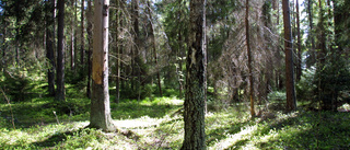 Skötseln av skyddad natur är god i Östergötland